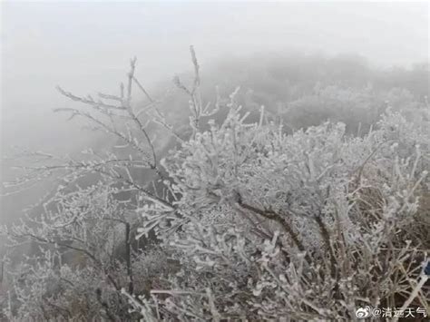 广州下雪|广东下雪了！防冻Ⅳ级应急响应启动！接下来还会更冷…